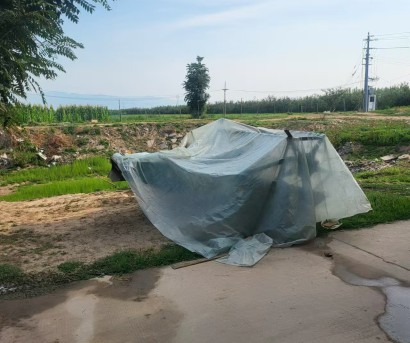 中联谷王TB70(4LZ-7B)小麦收割机