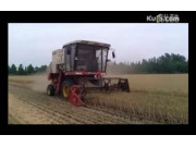 雷沃谷神GE50收获机作业视频