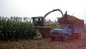 CLAAS JAGUAR850 自走式青储饲料收获机