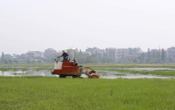 沃得猛龙履带式旋耕机作业视频