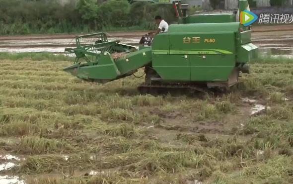 中联谷王PL50水稻机作业视频