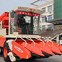 国丰4YZP-4E玉米收割机