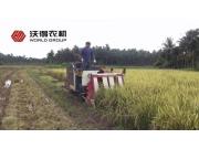 沃得半喂入收割机多功能作业视频