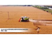 科乐收(CLAAS)_D370小麦收割机及秸秆打捆联合作业演示会-作业视频