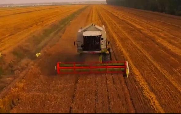 科乐收D370联合收割机发布视频