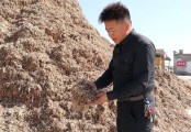 周献春：打造饲草行业加工配送一站式平台