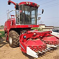 洛阳福格森4QZ-15青饲料收获机