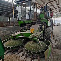 美迪9QZ-2900自走式青饲料收获机