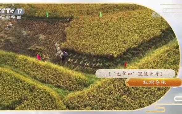 《我爱发明》巴掌田里显身手