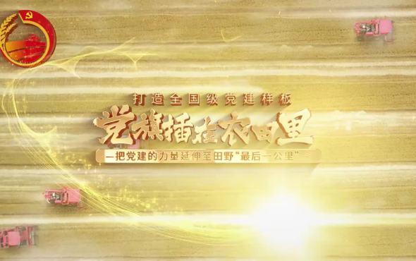 潍柴雷沃智慧农业：党旗插在农田里